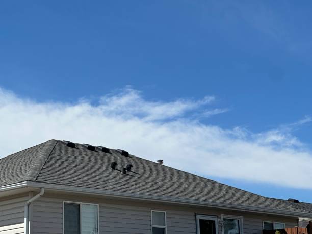 Best Roof Coating and Sealing  in Silver Bay, MN